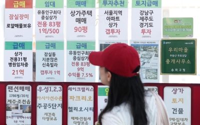 강남권과 '마용성' 거래 주춤 예상… 