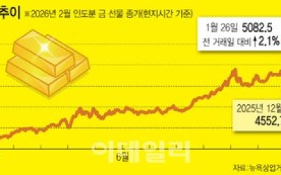 "폐광도 다시 판다"…치솟는 금값이 부른 골드 러시