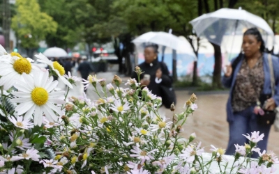“주말 단풍나들이 취소해야하나”…전국에 가을비·일교차 큰 날씨 - 매일경제