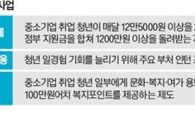 전쟁 추경에 '청년 일자리 사업' 포함…내일채움공제 부활 추진