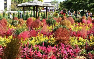 [2026 대전망] 기후위기 시대, 돌봄과 회복의 정원도시를 위하여 - 글로벌이코노믹