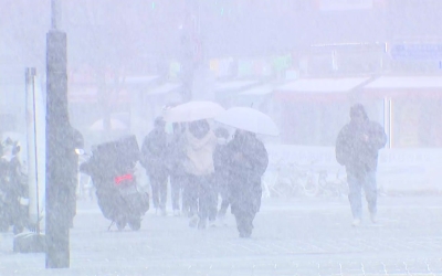 [속보] 경기 북동부 등 대설 주의보 발령...예비 특보 확대
