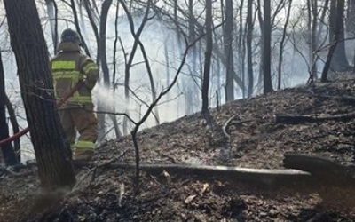 충남 예산군 대술면에 산불…'산불 1단계' 발령