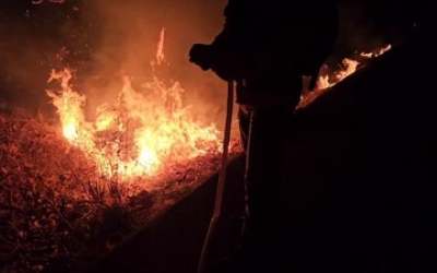 경남 밀양 산불 대응 2단계 격상…진화율 42%