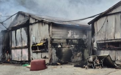 재생 고속도로 곳곳 추돌…양계장 불타 3만 마리 폐사