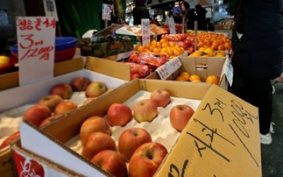 동영상 기사 줄줄이 뛰어 '비상'…'역대 최대' 27만 톤 푼다
