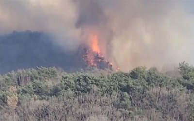 [속보] 충남 예산군 대술면 산불…산림청 산불 1단계 발령