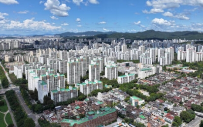 성남시, 분당 재건축 선도지구 4곳… 조건부 승인