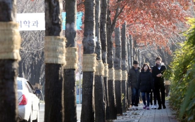 부산·울산·경남 구름 끼고 체감온도 낮아… 낮 최고 6도 안팎