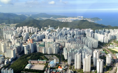 부산 아파트값 12주 연속 ↑… 전셋값 상승폭도 커져