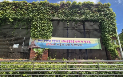 40살 하마 '히뽀' 떠난 뒤…전면 개선 예고한 광주 우치동물원, 왜 | 중앙일보