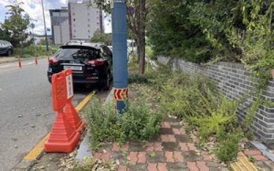KTX울산역 일원 잡초에 뒤덮인 인도 눈살