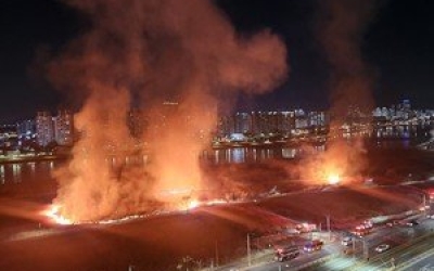 울산 명촌교 갈대밭서 불…1시간 만에 완진