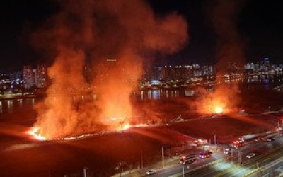 울산 북부서, 명촌 태화강변 억새군락지 방화 용의자 검거