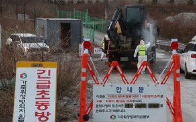 ASF 전국 확산에 울산도 긴장… 2월말까지 농장 환경검사