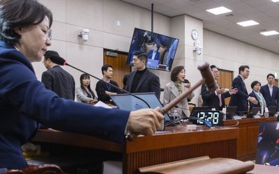 대구경북통합특별시법 '발목'…전남광주만 법사위 통과