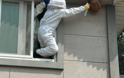 경북소방본부 “벌집 제거 출동 급증⋯여름철 벌쏘임 사고 주의하세요”