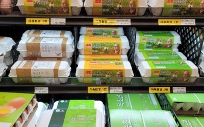 불볕더위 속 달걀값 올들어 최고가 돌파…특란 대구 7천347원,경북 7천360원 전년보다 7.4%↑