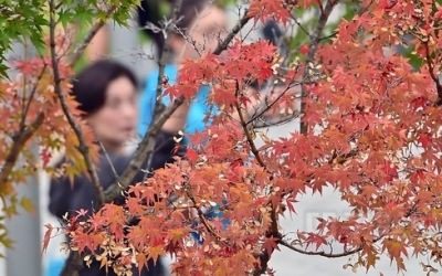 반팔에서 패딩까지 ‘경계 무너진 10월’…단풍철도 짧아, 대구시민들 “가을이 사라졌다”