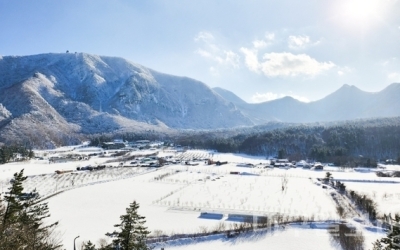 [뉴스초점] ‘천혜의 자연 간직하고도 활용 못하는’ 울릉군, 겨울 관광 활성화 모색해야