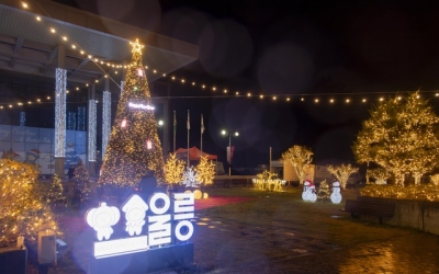 울릉군, 겨울빛 트리 점등식으로 크리스마스 분위기 물씬