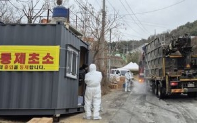 성주군, 2주 만에 또 조류독감 발생…방역 초비상