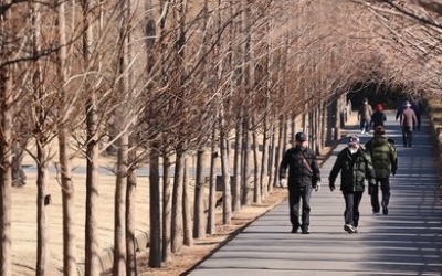 입춘 맞은 광주·전남, 낮 최고 12도 포근