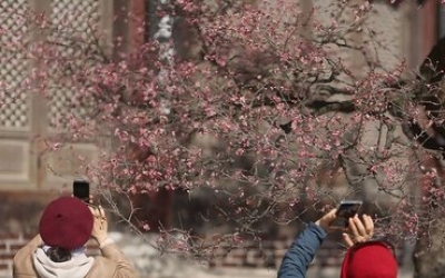 광주·전남 아침 쌀쌀, 낮 16도 포근…큰 일교차 속 맑은 하늘