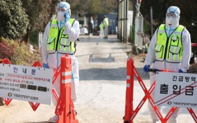‘3대 가축전염병’ 동시 확산…전남 ‘방역 비상’