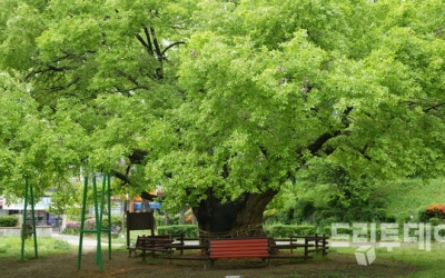 광주·전남 대체로 흐리고 꿉꿉