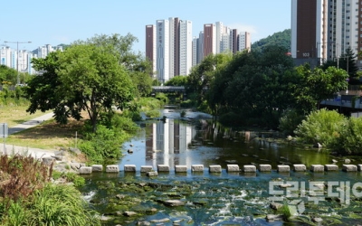 12일 광주·전남 한낮 불볕 속 소나기