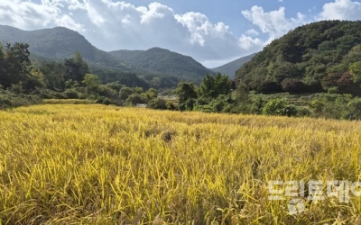 기온 냉온탕…광주·전남 ‘최고 21도’ 온화