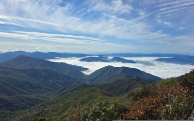 광주·전남 낮 최고 ‘22도’…아침까지 짙은 안개