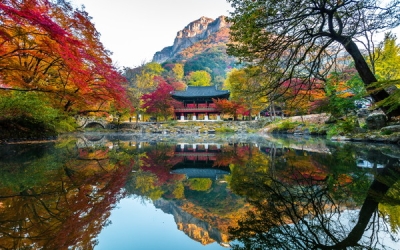 전남도 추천 ‘단풍길 힐링여행지’는