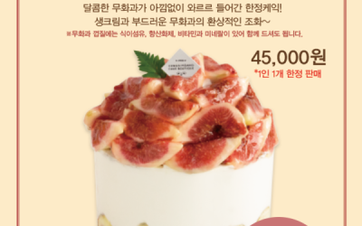 영암군 ‘로코노미’ 대박 행진