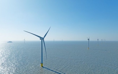 국내 최대 민간 주도 ‘전남해상풍력 1단지’ 준공