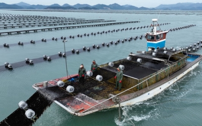 전남도 “2030년 김 수출 1조 돌파”