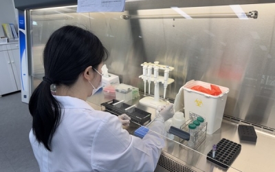 ‘철모르는 쯔쯔가무시증’… 겨울에도 전남 증가세