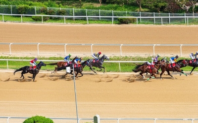 전남·북 최초 경마장, 가능성은?