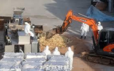 전북, 올겨울 첫 고병원성 AI 발생…도 전역 비상 방역체제 돌입