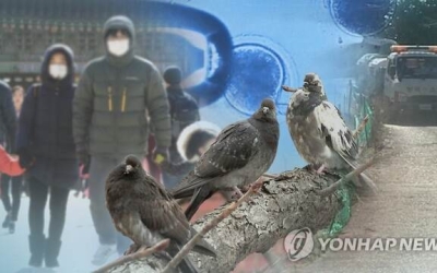 전북 야생 설치류서 인수공통감염병 병원체 검출