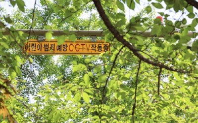 전주시 공원 곳곳 나무에 가려진 CCTV…안전 ‘사각지대’