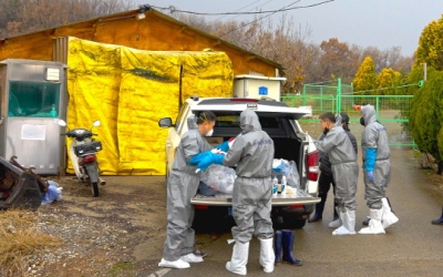 충북 전역 ASF 주의보 발령…방역당국 