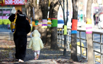 대전·세종·충남 6일 한때 비 조금… 일요일은 기온 소폭 올라