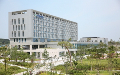 충남 서천 야생조류 폐사체서 고원병성 AI 발생