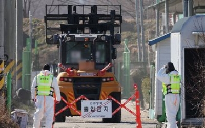 충남 예산 산란계 농장서 고병원성 AI 확진
