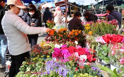 26일 대전·세종·충남 최고 21도 포근