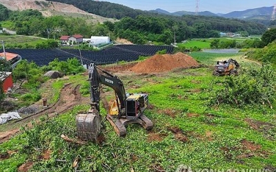 전국 절반 차지… 충북 과수화상병 발생 집중 왜?