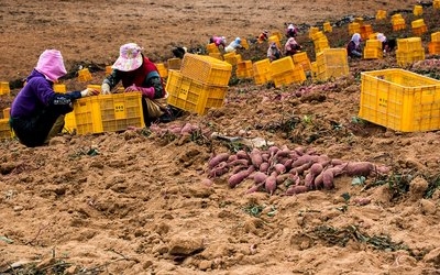 산업 전략은 선명, 농업 대책은 흐릿 농업 비전 없는 통합안…충남 농민들 비판 확산