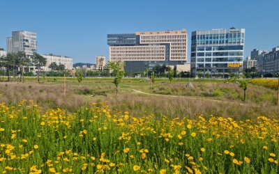 세종시 '나성·어진·대평동' 공실 해법 찾기...2026년 달라질까